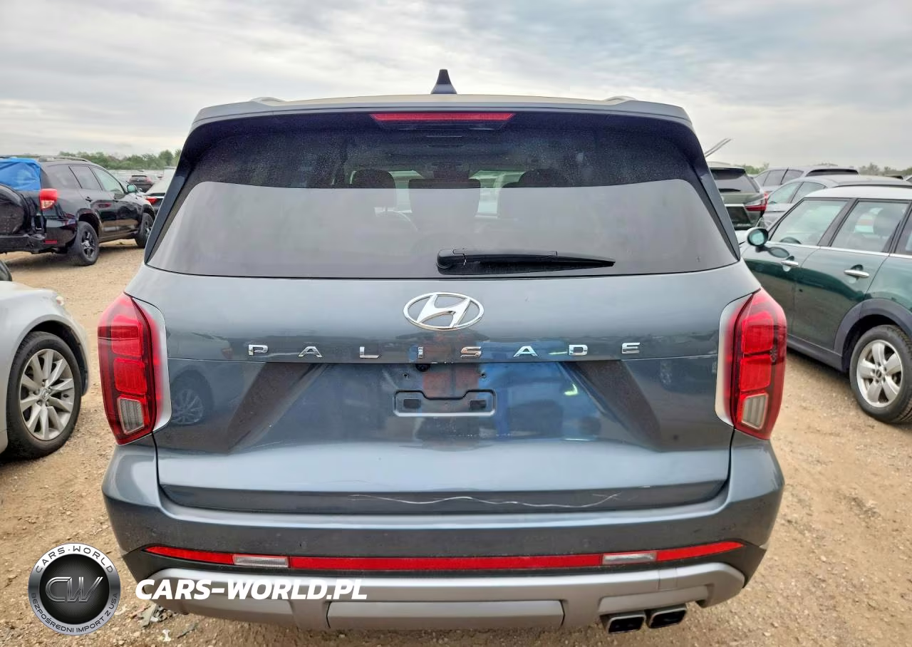 2023 Hyundai Palisade Limited VIN:KM8R5DGE9PU568697 - 6