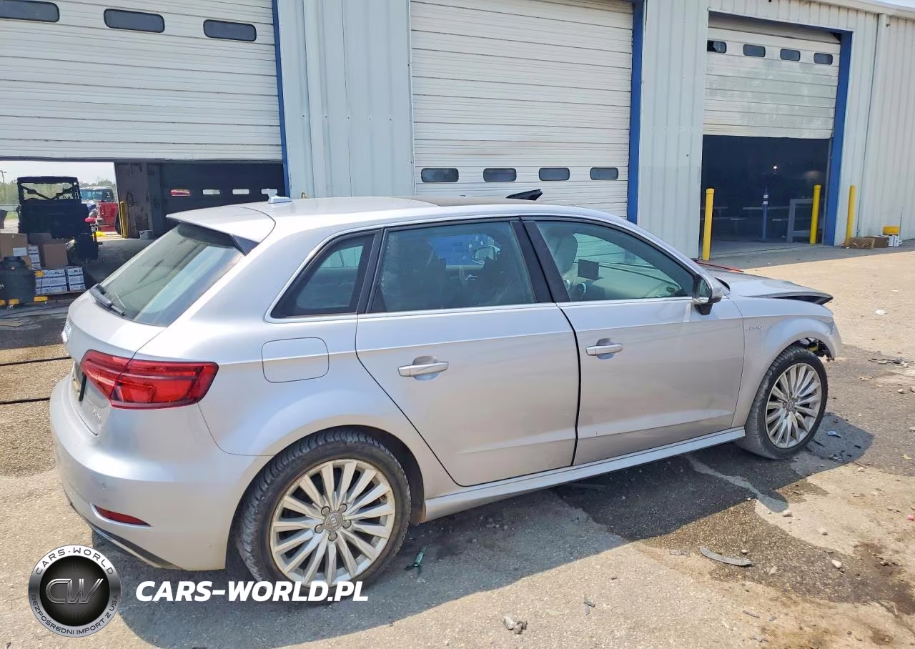 2017 Audi A3 E-Tron Premium Plus VIN:WAUTPBFF3HA055237 - 3