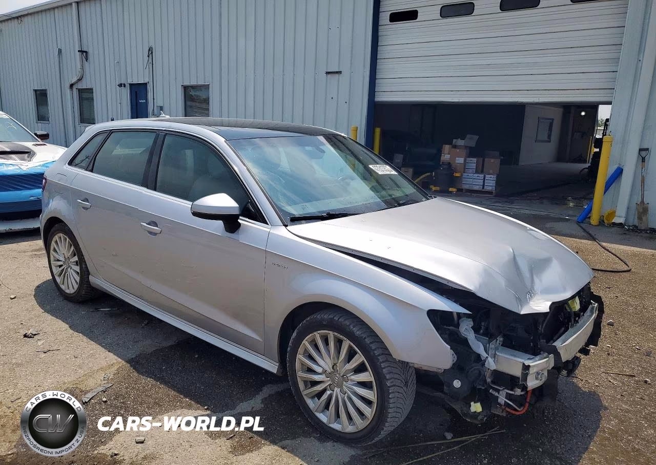 2017 Audi A3 E-Tron Premium Plus VIN:WAUTPBFF3HA055237 - 4