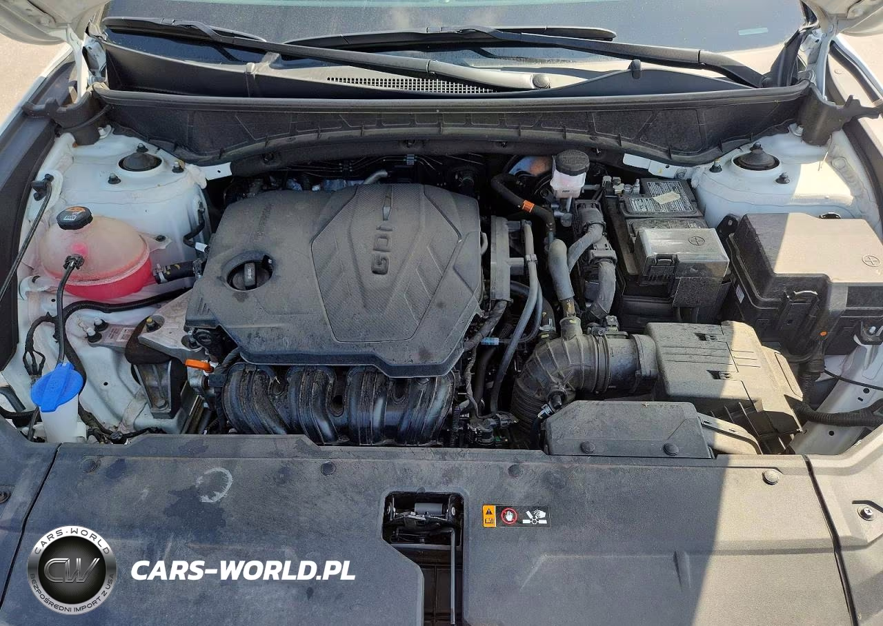 2024 Hyundai Tucson Limited VIN:5NMJE3DE2RH336209 - 11