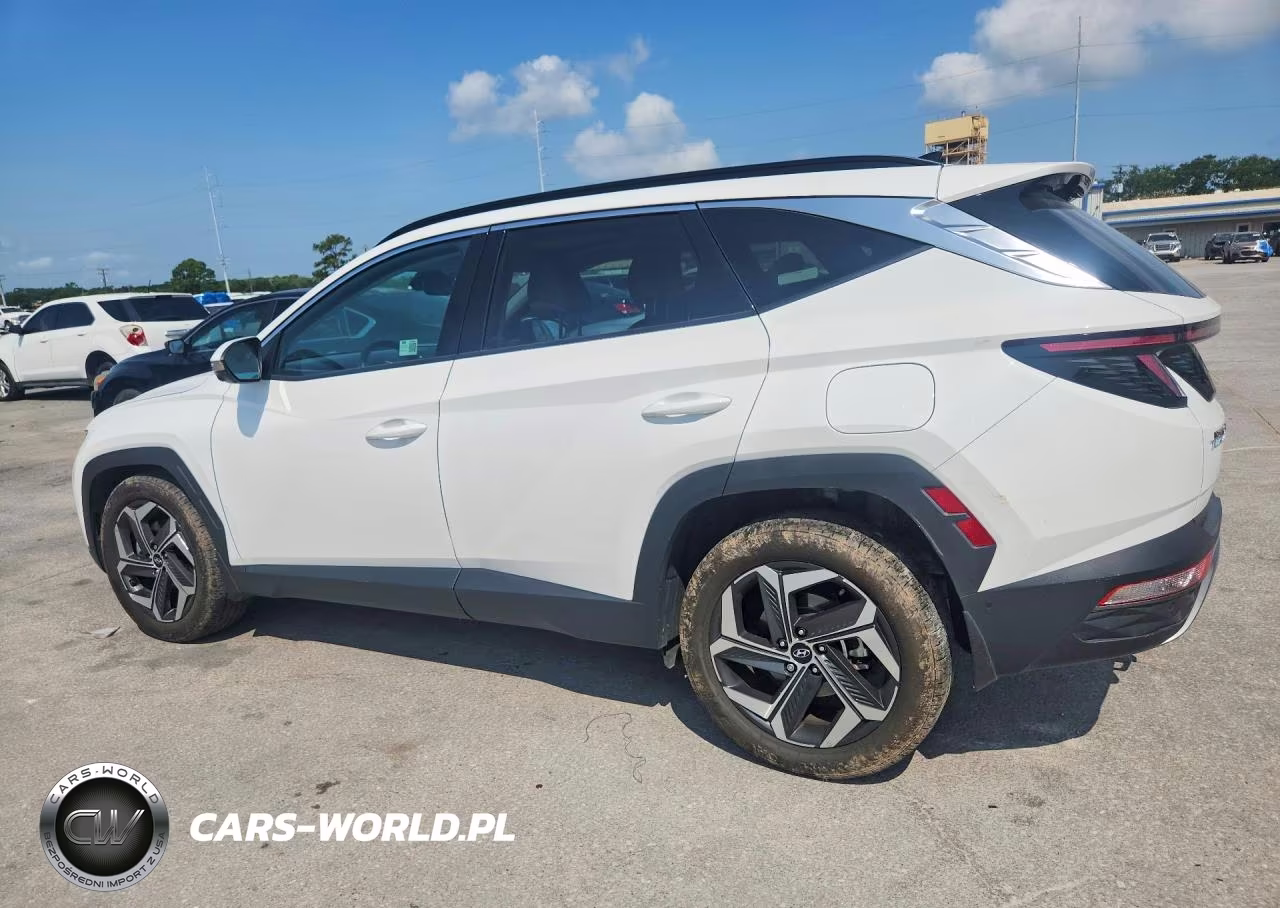 2024 Hyundai Tucson Limited VIN:5NMJE3DE2RH336209 - 2
