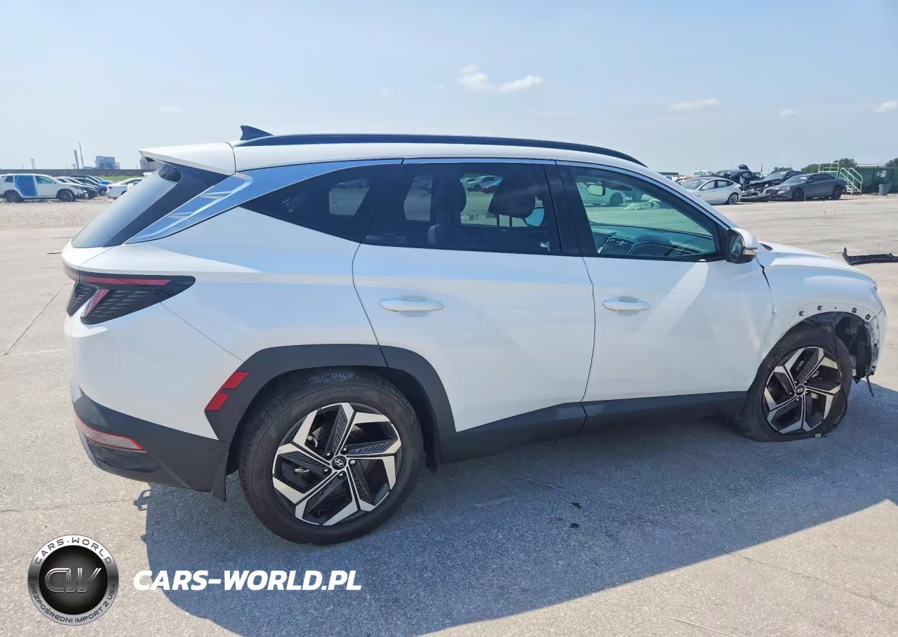 2024 Hyundai Tucson Limited VIN:5NMJE3DE2RH336209 - 3
