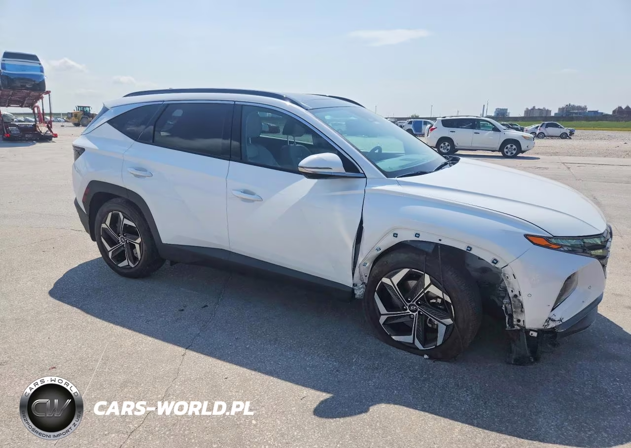 2024 Hyundai Tucson Limited VIN:5NMJE3DE2RH336209 - 4