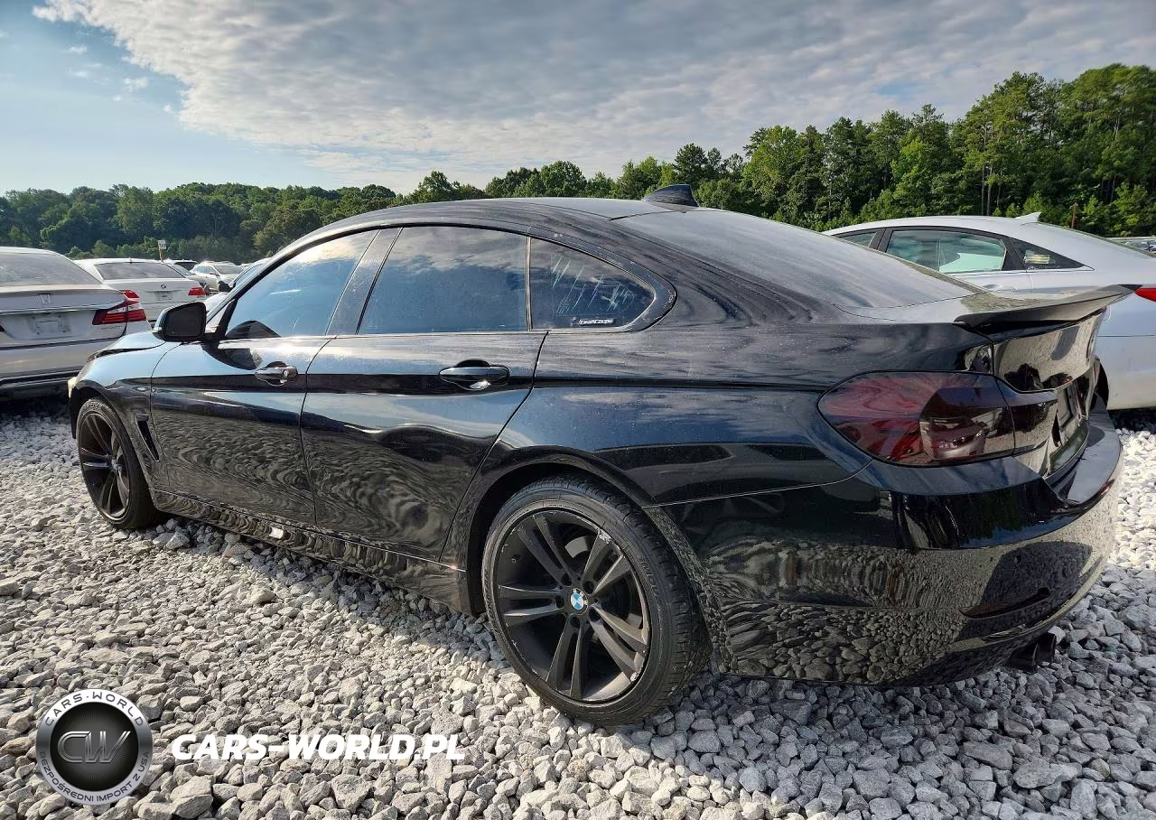 2016 BMW 428 I Gran Coupe Sulev VIN:WBA4A9C55GG696170 - 2