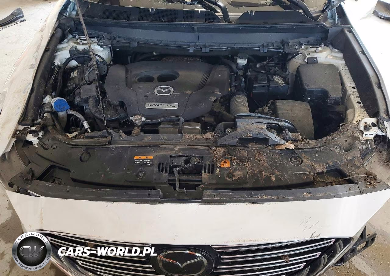 2021 Mazda Cx-9 Touring VIN:JM3TCBCYXM0507437 - 12