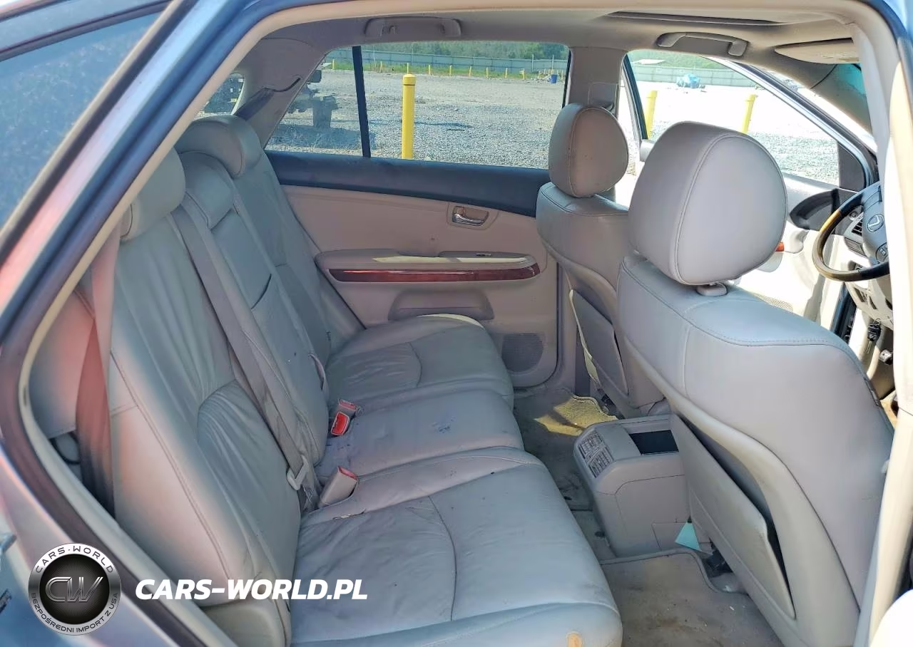 2004 Lexus Rx 330 VIN:2T2GA31U04C018116 - 10
