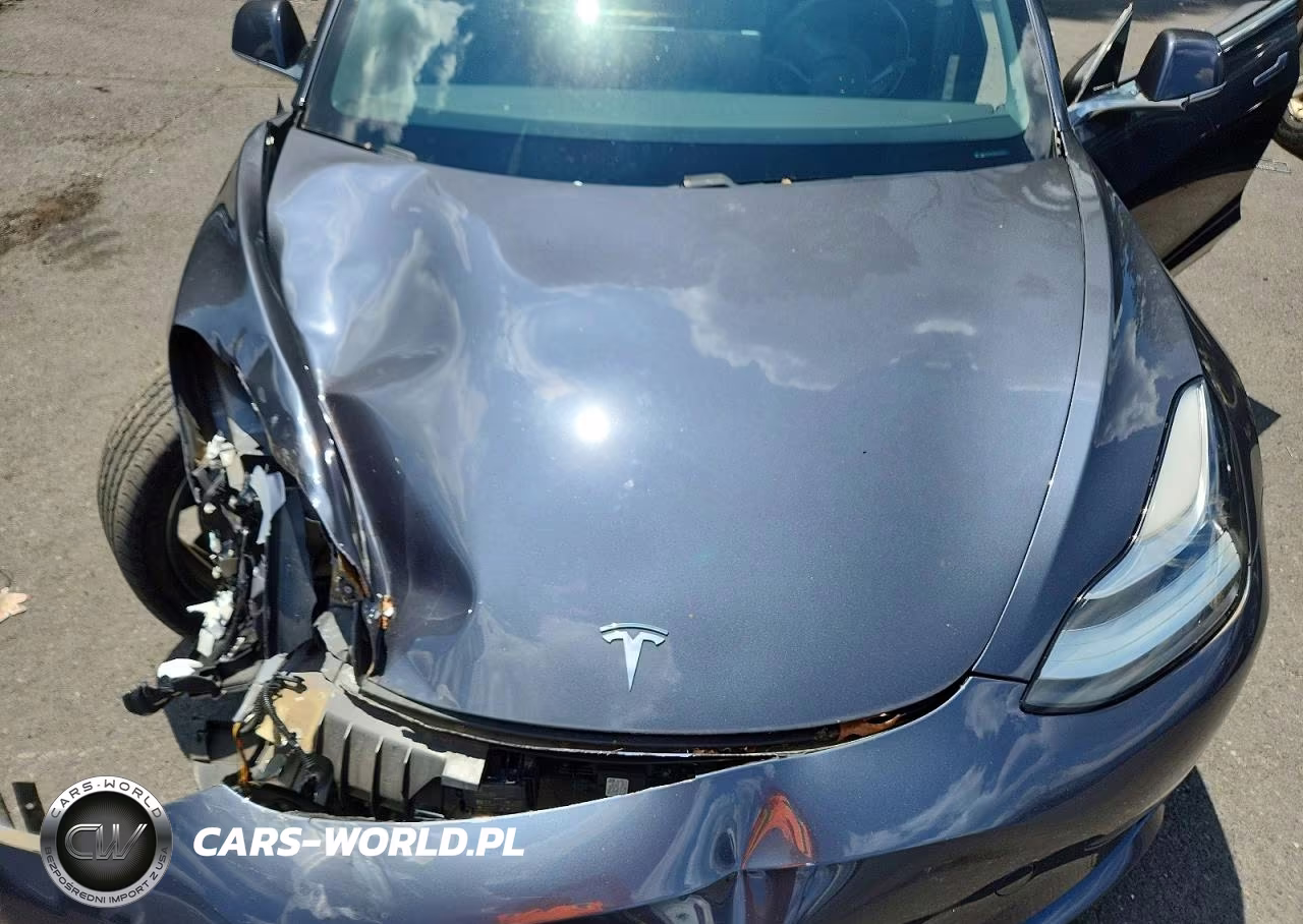 2019 Tesla Model 3 VIN:5YJ3E1EB0KF392898 - 11