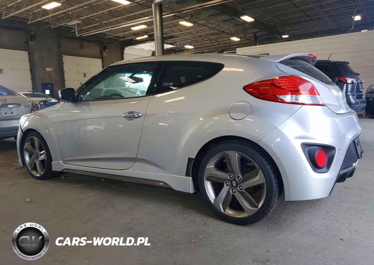 2013 Hyundai Veloster Turbo VIN:KMHTC6AEXDU083206 - 2