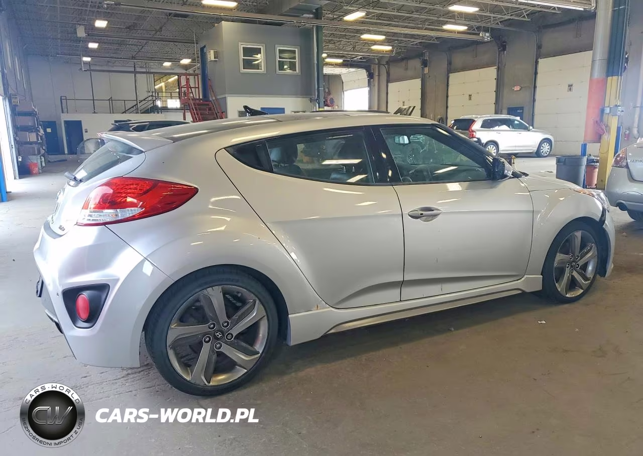 2013 Hyundai Veloster Turbo VIN:KMHTC6AEXDU083206 - 3