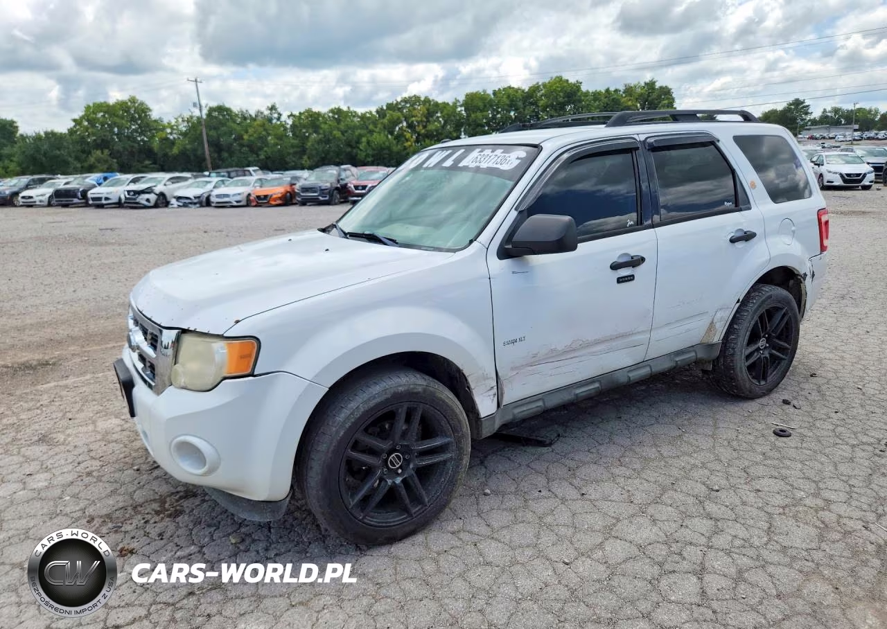 2009 Ford Escape Xlt
