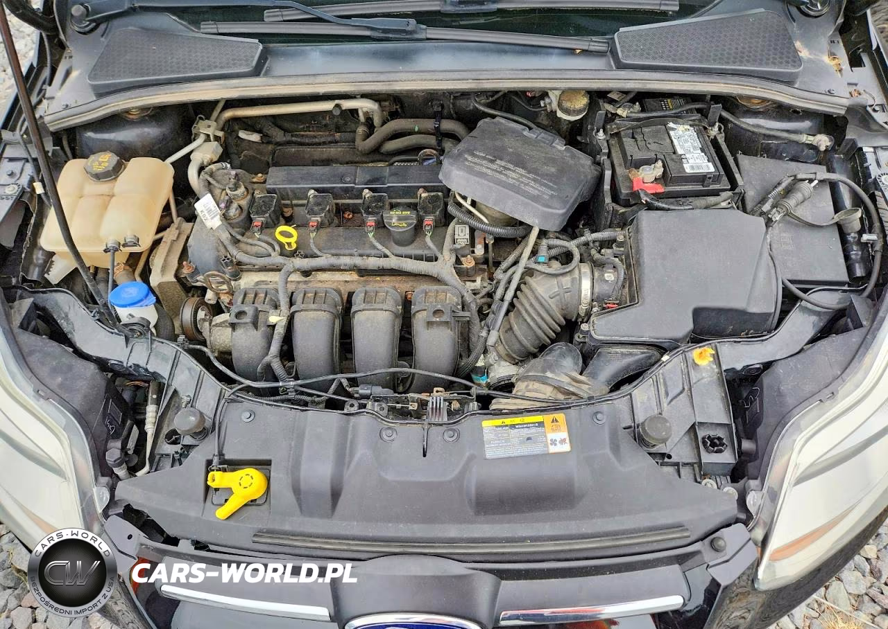 2014 Ford Focus Se VIN:1FADP3K25EL173778 - 11