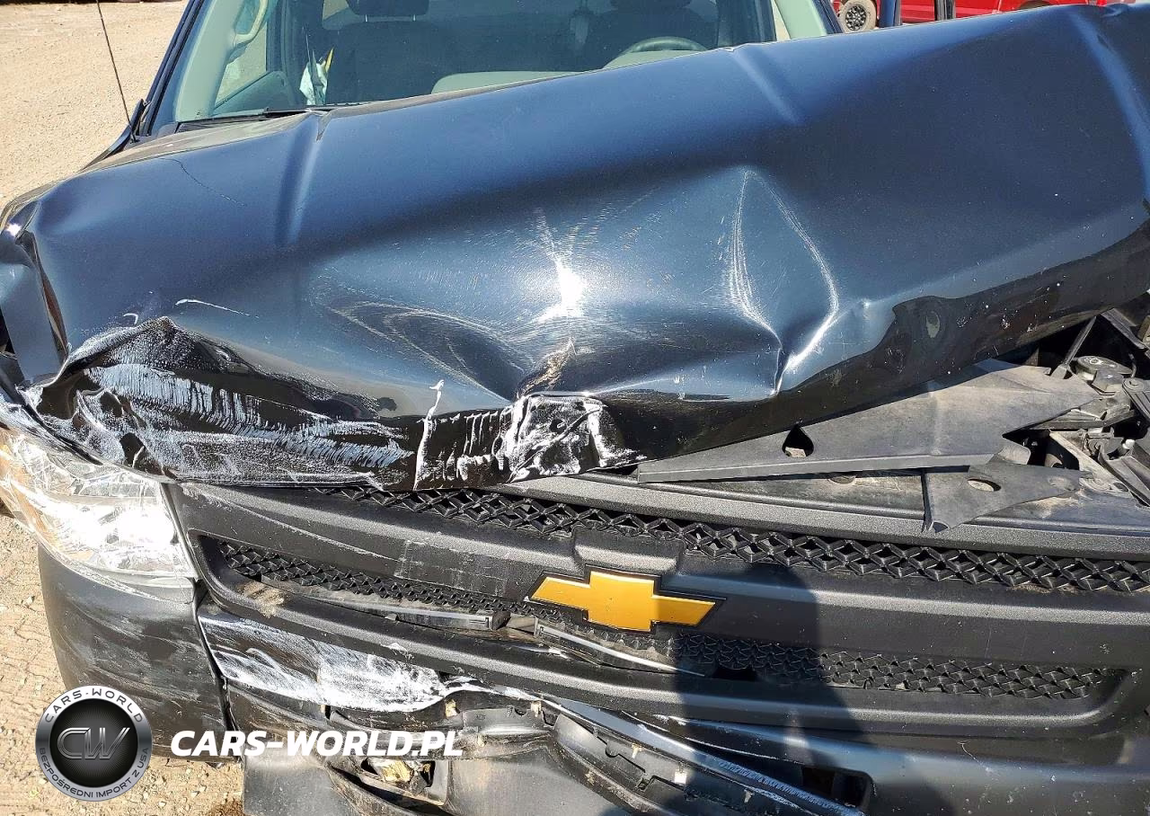 2013 Chevrolet Silverado C1500 VIN:1GCNCPEX0DZ105702 - 11