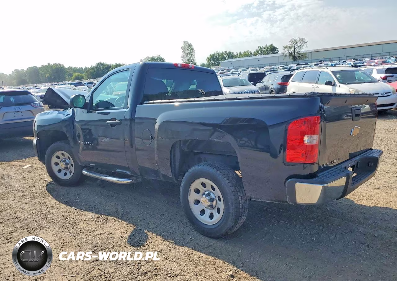 2013 Chevrolet Silverado C1500 VIN:1GCNCPEX0DZ105702 - 2