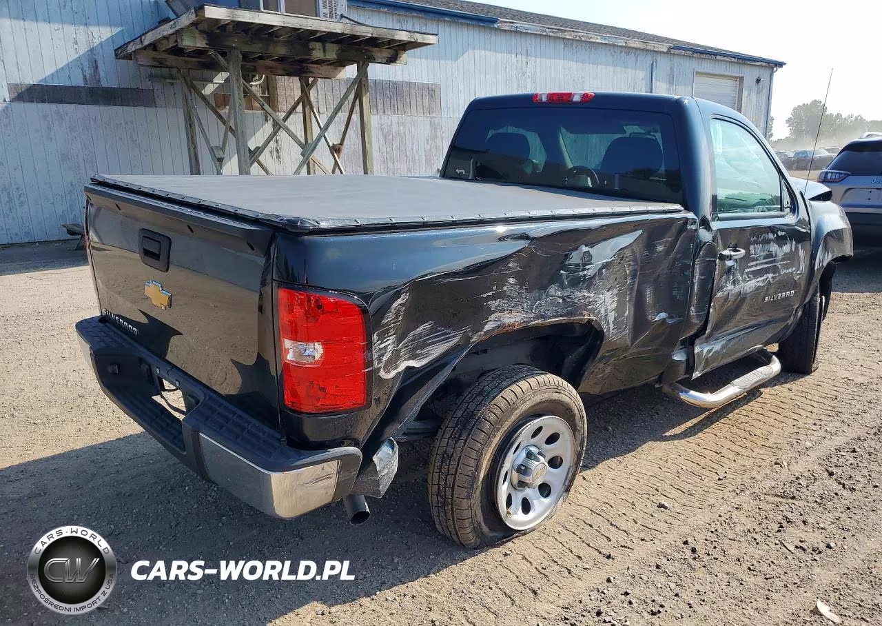 2013 Chevrolet Silverado C1500 VIN:1GCNCPEX0DZ105702 - 3