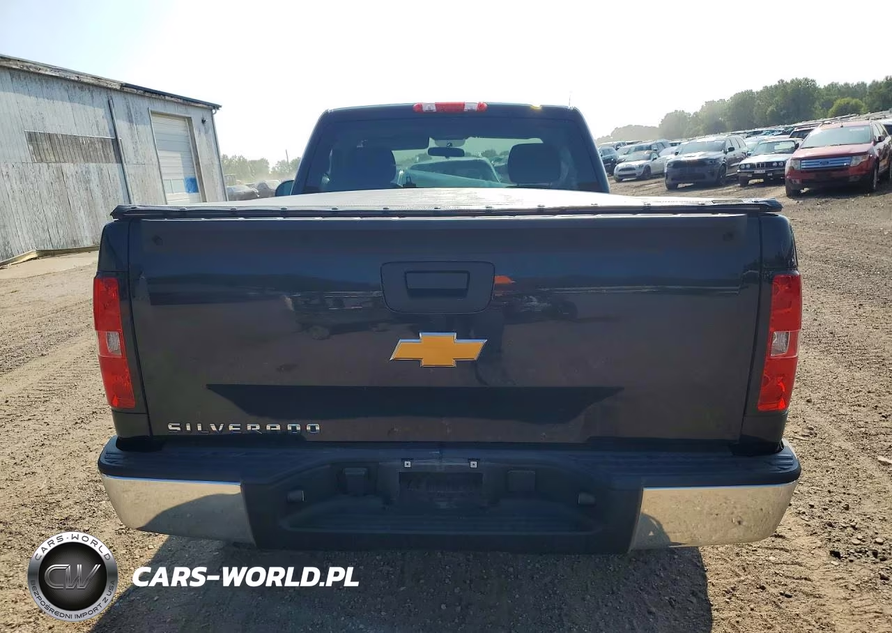 2013 Chevrolet Silverado C1500 VIN:1GCNCPEX0DZ105702 - 6