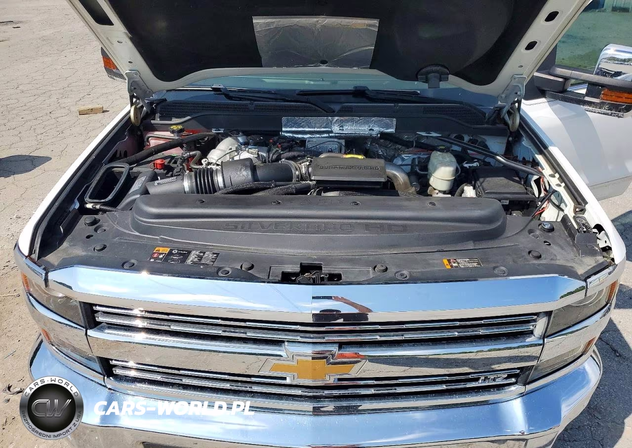 2017 Chevrolet Silverado K2500 Heavy Duty Ltz VIN:1GC1KWEY8HF163262 - 11