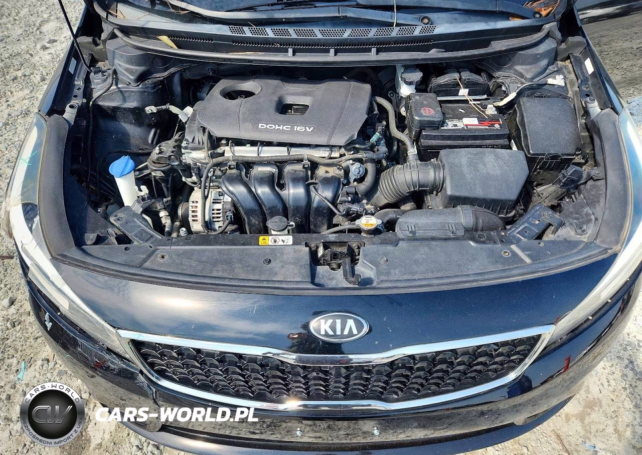 2018 Kia Forte Lx VIN:3KPFK4A74JE165422 - 11