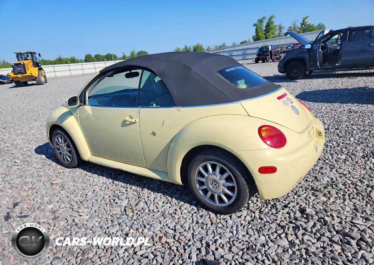 2005 Volkswagen New Beetle Gls VIN:3VWCM31Y85M317517 - 2