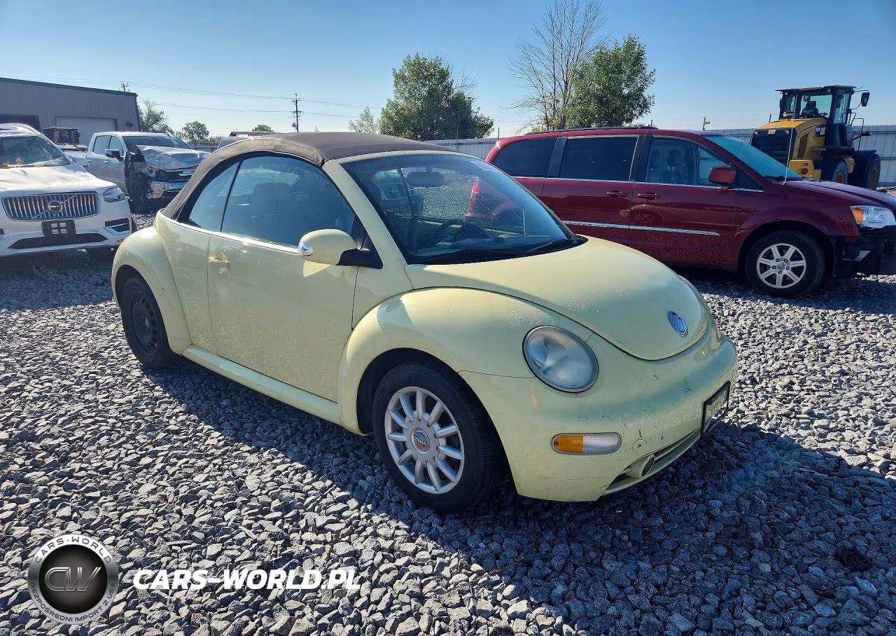 2005 Volkswagen New Beetle Gls VIN:3VWCM31Y85M317517 - 4