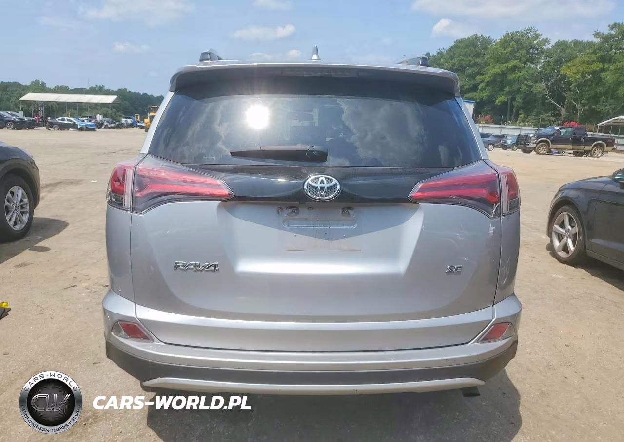 2016 Toyota Rav4 Se VIN:2T3NFREV3GW280855 - 6