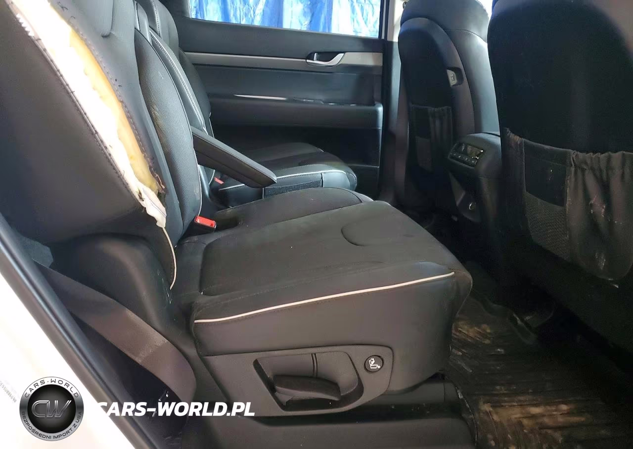 2025 Hyundai Palisade Sel VIN:KM8R2DGE5SU886690 - 11