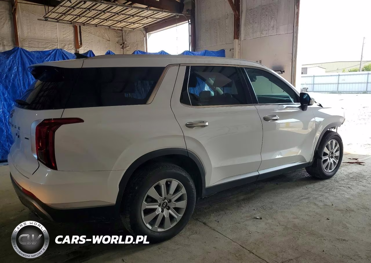 2025 Hyundai Palisade Sel VIN:KM8R2DGE5SU886690 - 3