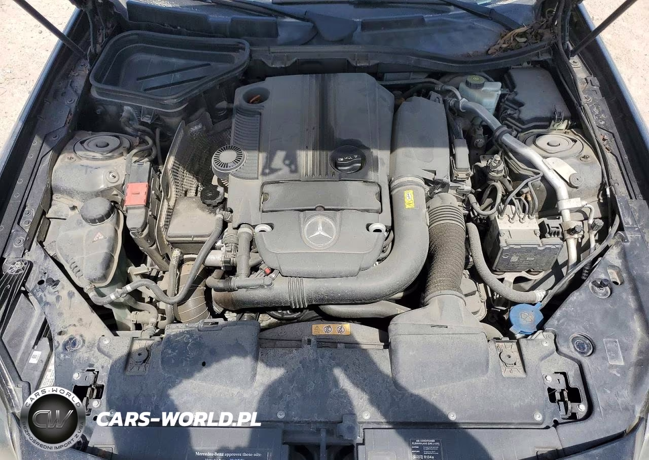 2014 Mercedes-Benz Slk 250 VIN:WDDPK4HA4EF085044 - 11