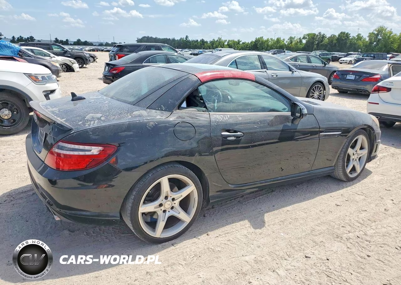 2014 Mercedes-Benz Slk 250 VIN:WDDPK4HA4EF085044 - 3