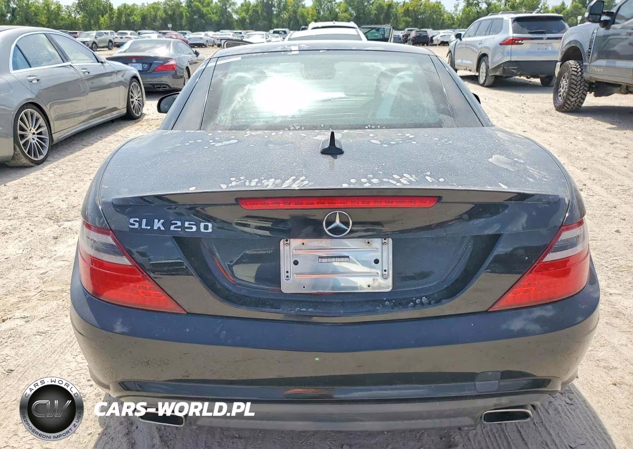 2014 Mercedes-Benz Slk 250 VIN:WDDPK4HA4EF085044 - 6