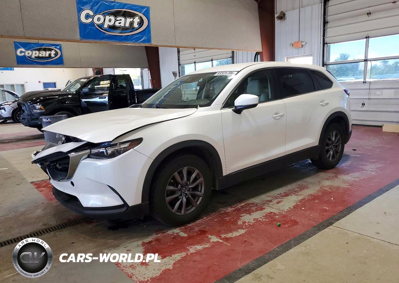 2019 Mazda Cx-9 Sport VIN:JM3TCABY7K0324991 - 1
