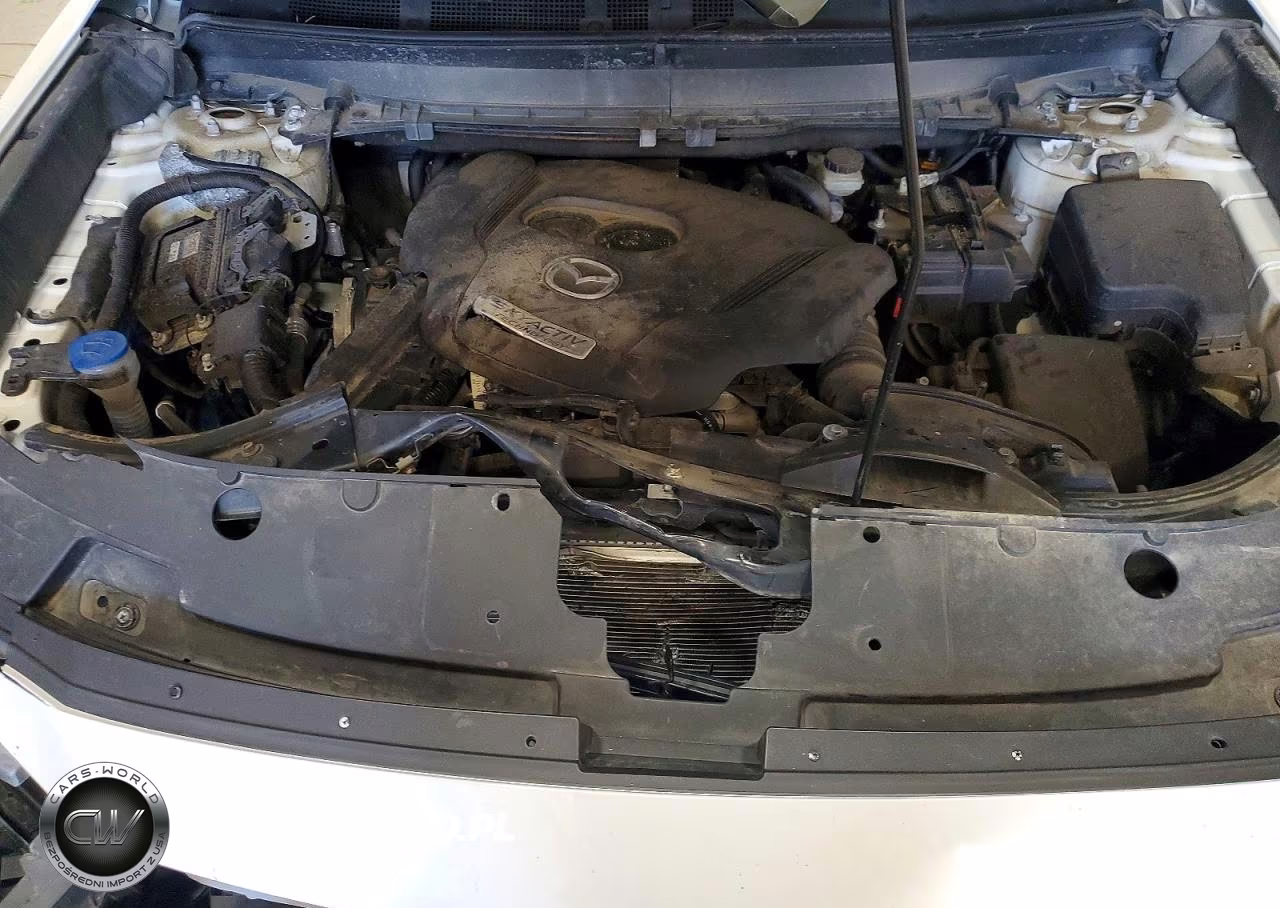 2019 Mazda Cx-9 Sport VIN:JM3TCABY7K0324991 - 12