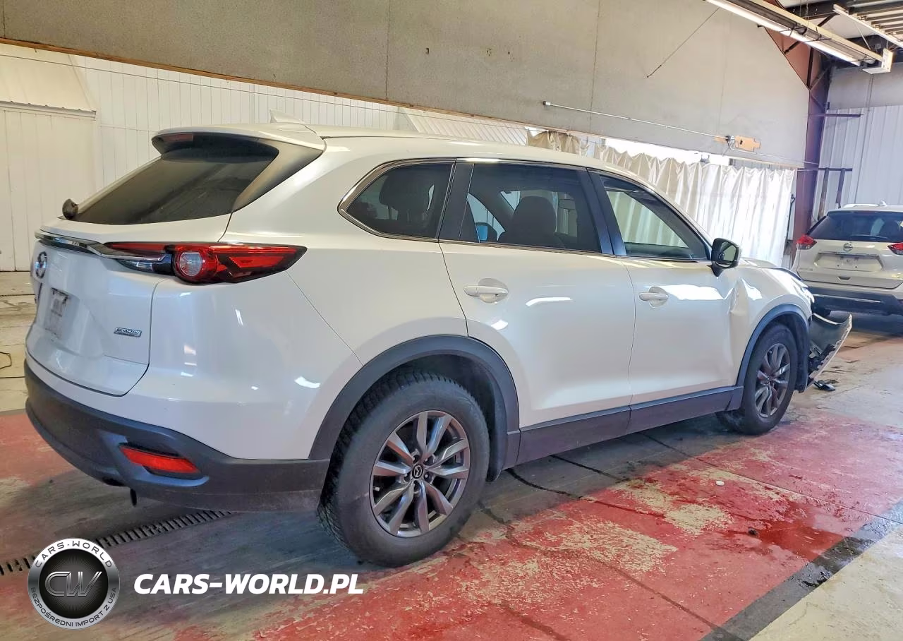 2019 Mazda Cx-9 Sport VIN:JM3TCABY7K0324991 - 3