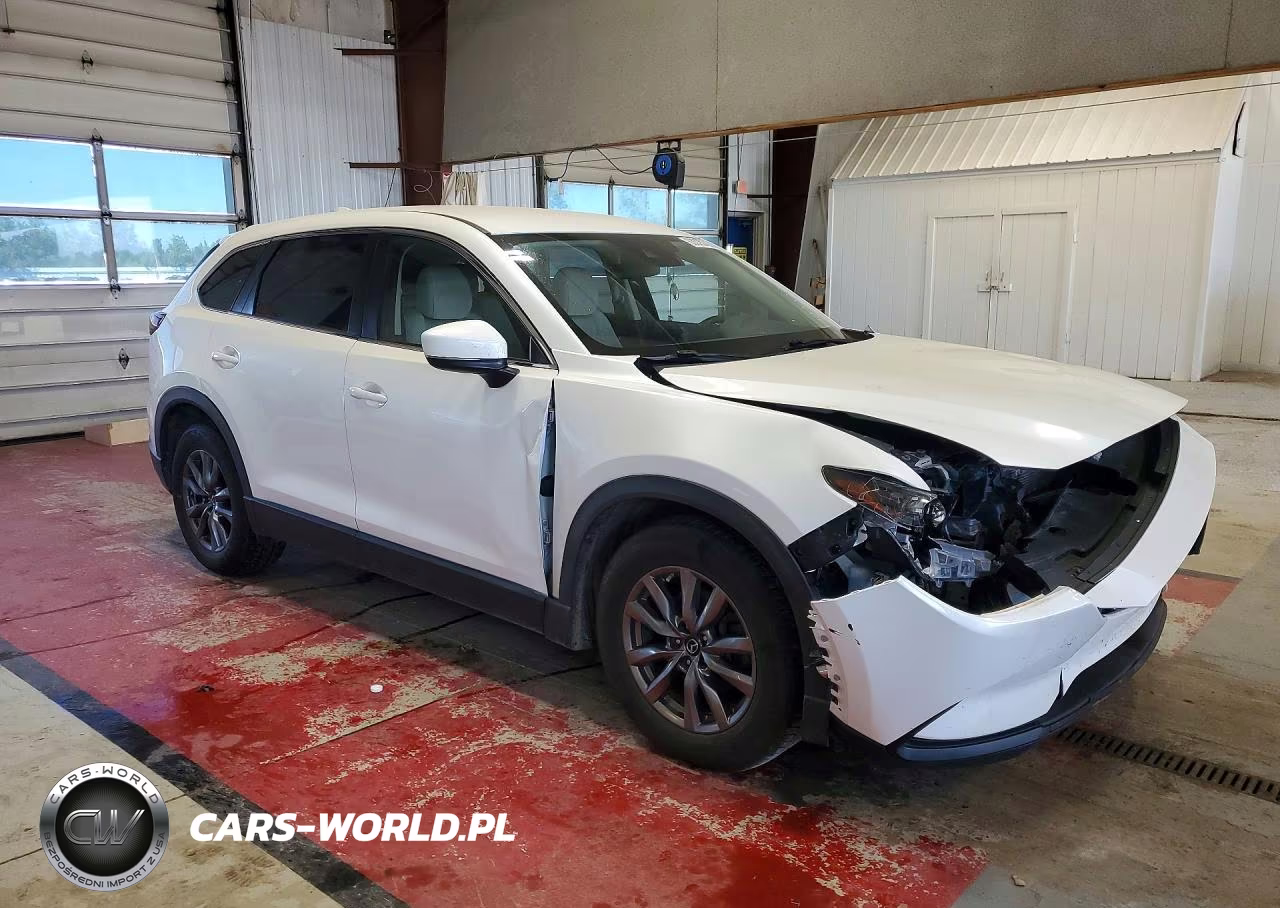 2019 Mazda Cx-9 Sport VIN:JM3TCABY7K0324991 - 4