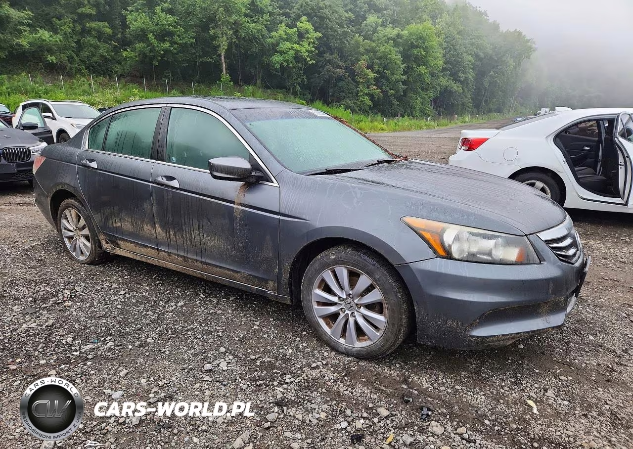2011 Honda Accord Exl VIN:1HGCP2F8XBA076518 - 4