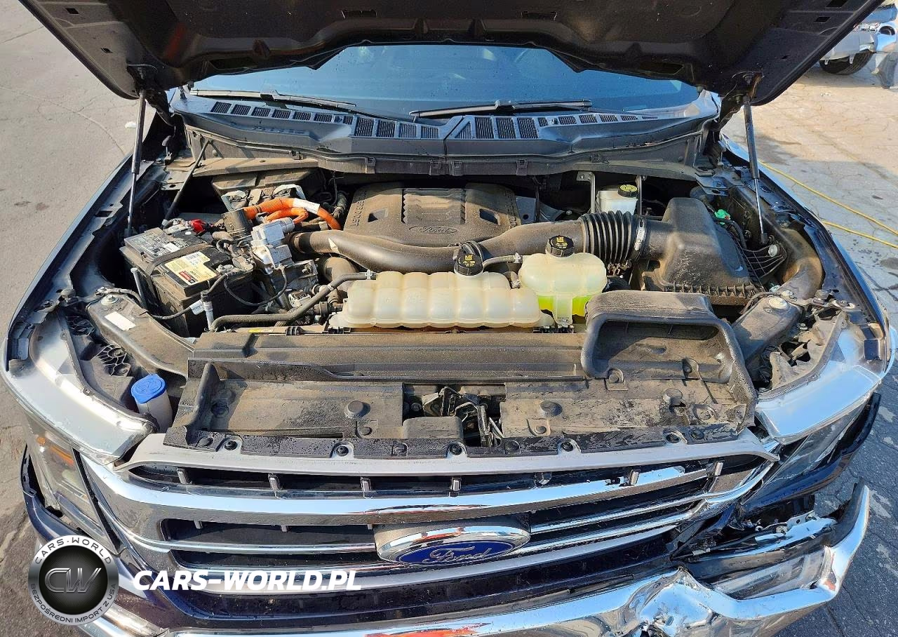 2021 Ford F150 Supercrew VIN:1FTFW1ED4MFA29613 - 11