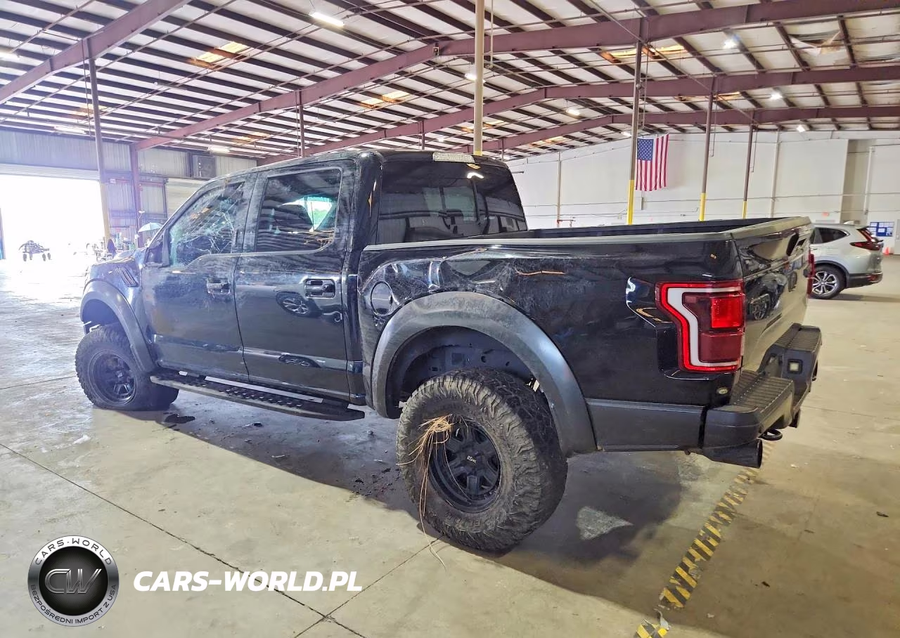 2017 Ford F150 Raptor VIN:1FTFW1RG5HFA21997 - 2