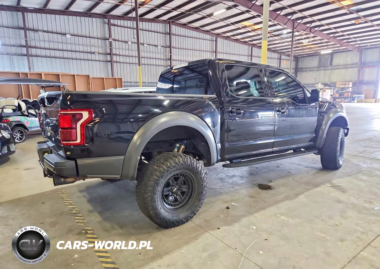 2017 Ford F150 Raptor VIN:1FTFW1RG5HFA21997 - 3