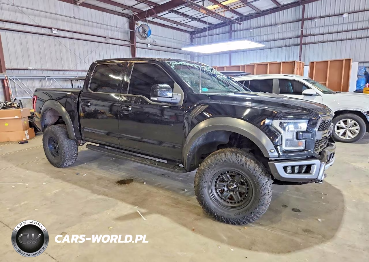 2017 Ford F150 Raptor VIN:1FTFW1RG5HFA21997 - 4