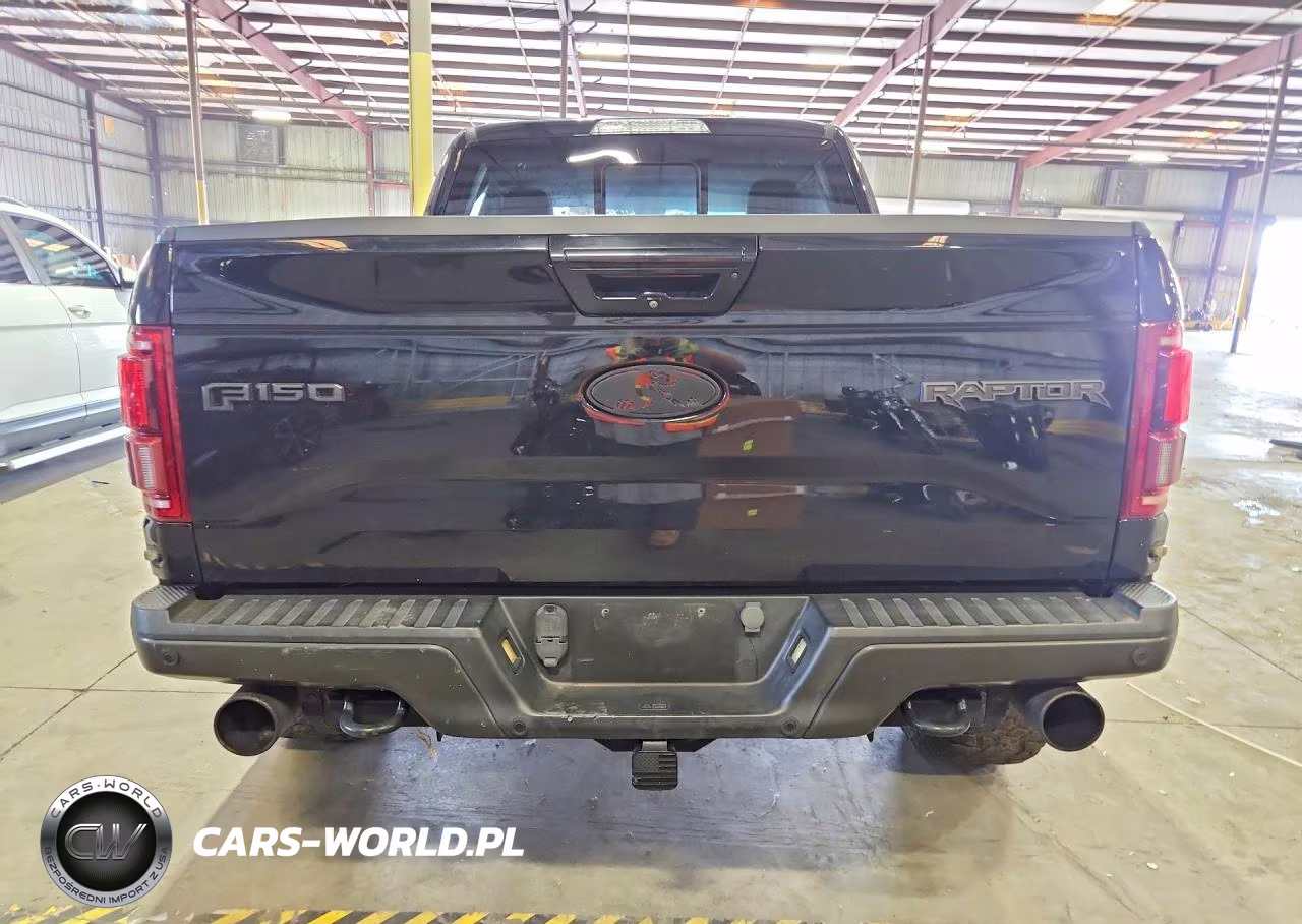 2017 Ford F150 Raptor VIN:1FTFW1RG5HFA21997 - 6