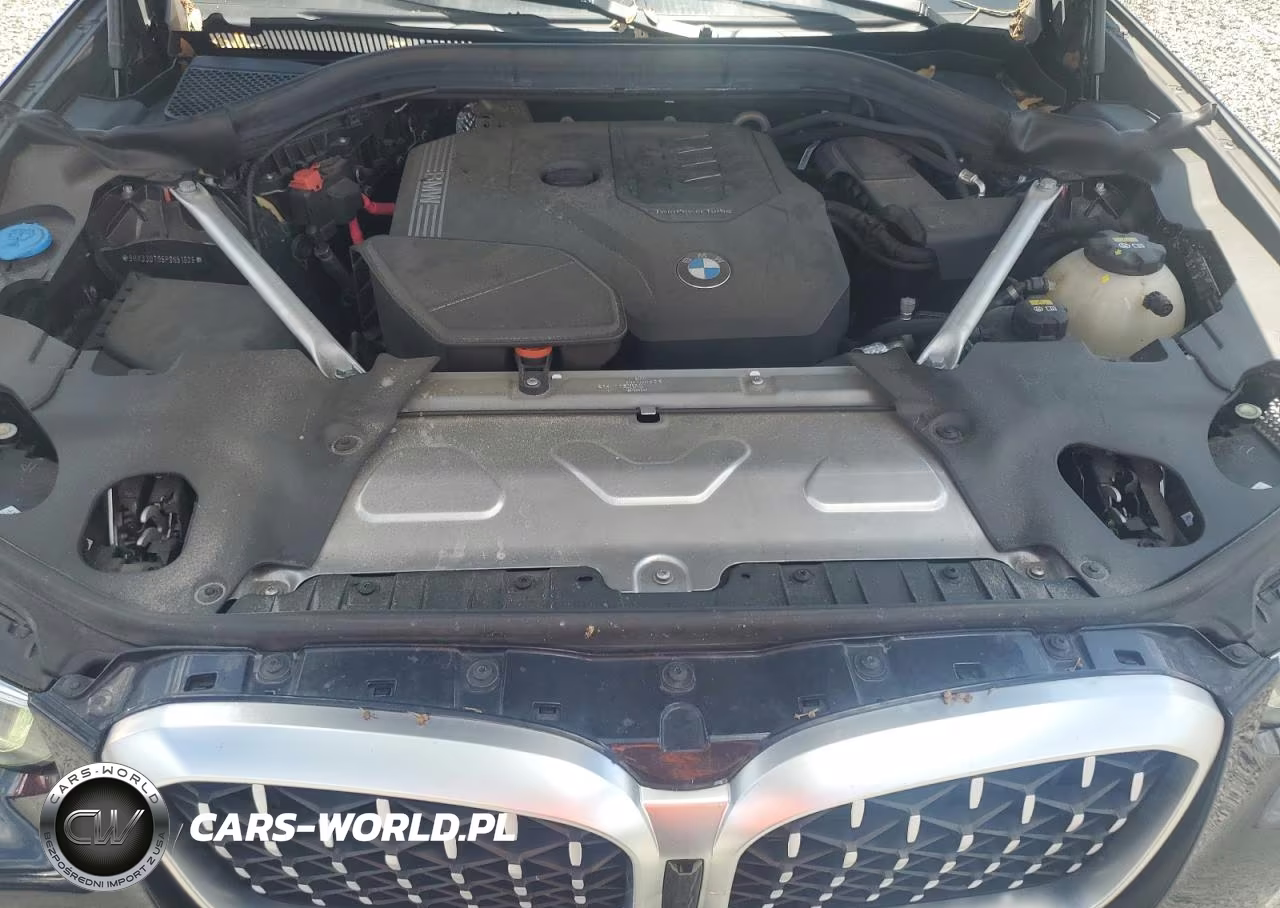 2023 BMW X4 xDrive30I VIN:5UX33DT05P9N51925 - 12