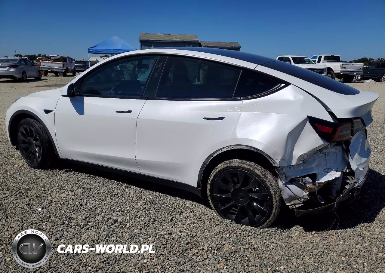 2021 Tesla Model Y VIN:5YJYGDEE1MF301653 - 2