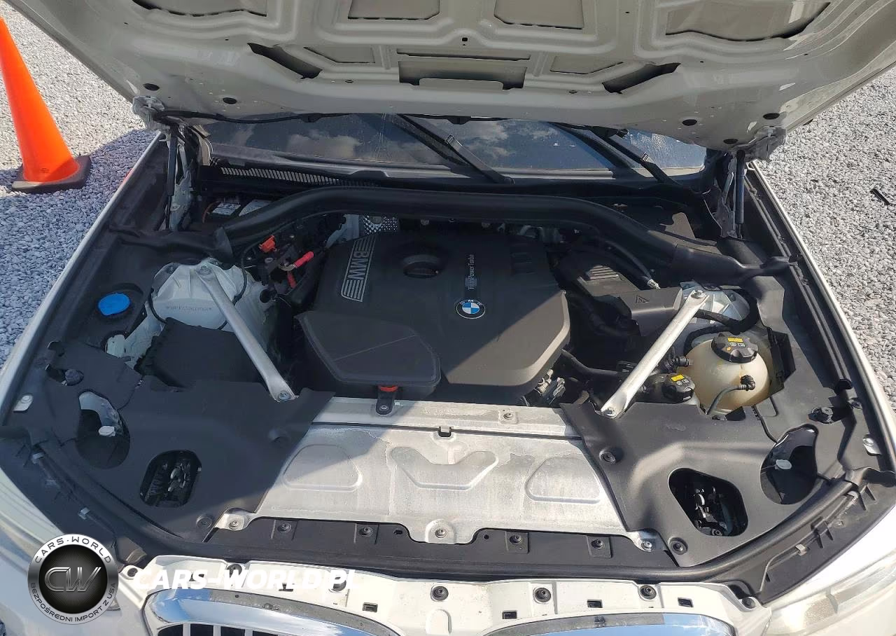 2019 BMW X3 Sdrive30I VIN:5UXTR7C52KLE97624 - 11