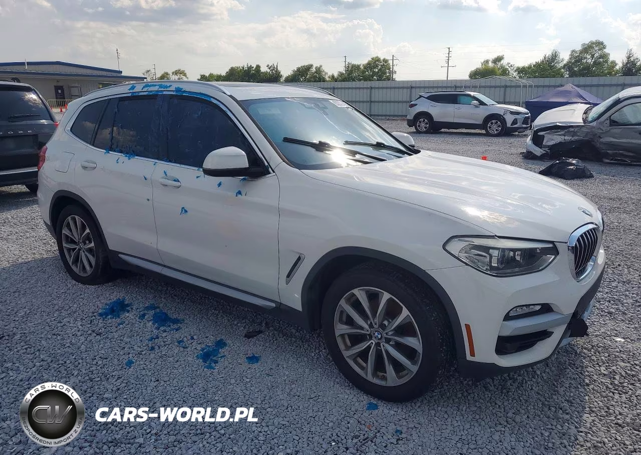 2019 BMW X3 Sdrive30I VIN:5UXTR7C52KLE97624 - 4