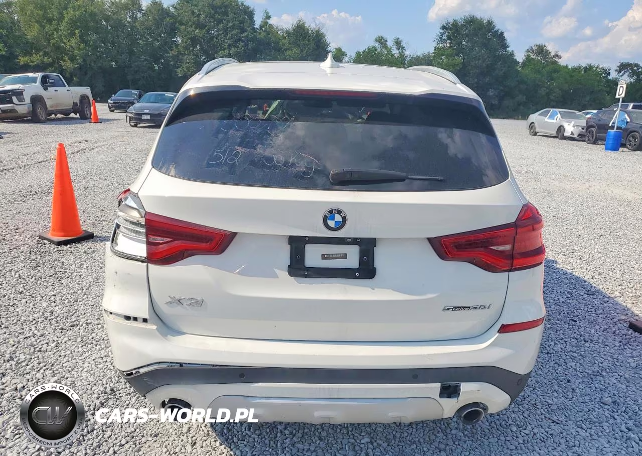 2019 BMW X3 Sdrive30I VIN:5UXTR7C52KLE97624 - 6