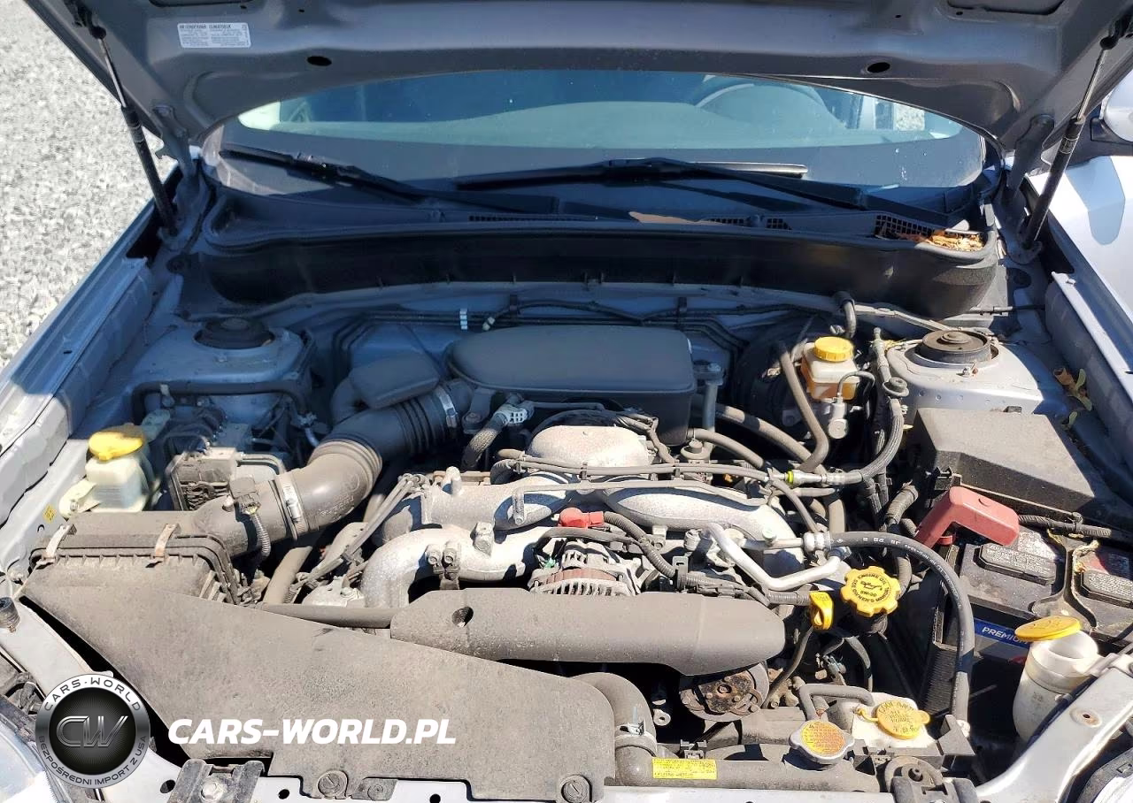 2010 Subaru Forester 2.5X Premium VIN:JF2SH6CC9AH790235 - 12