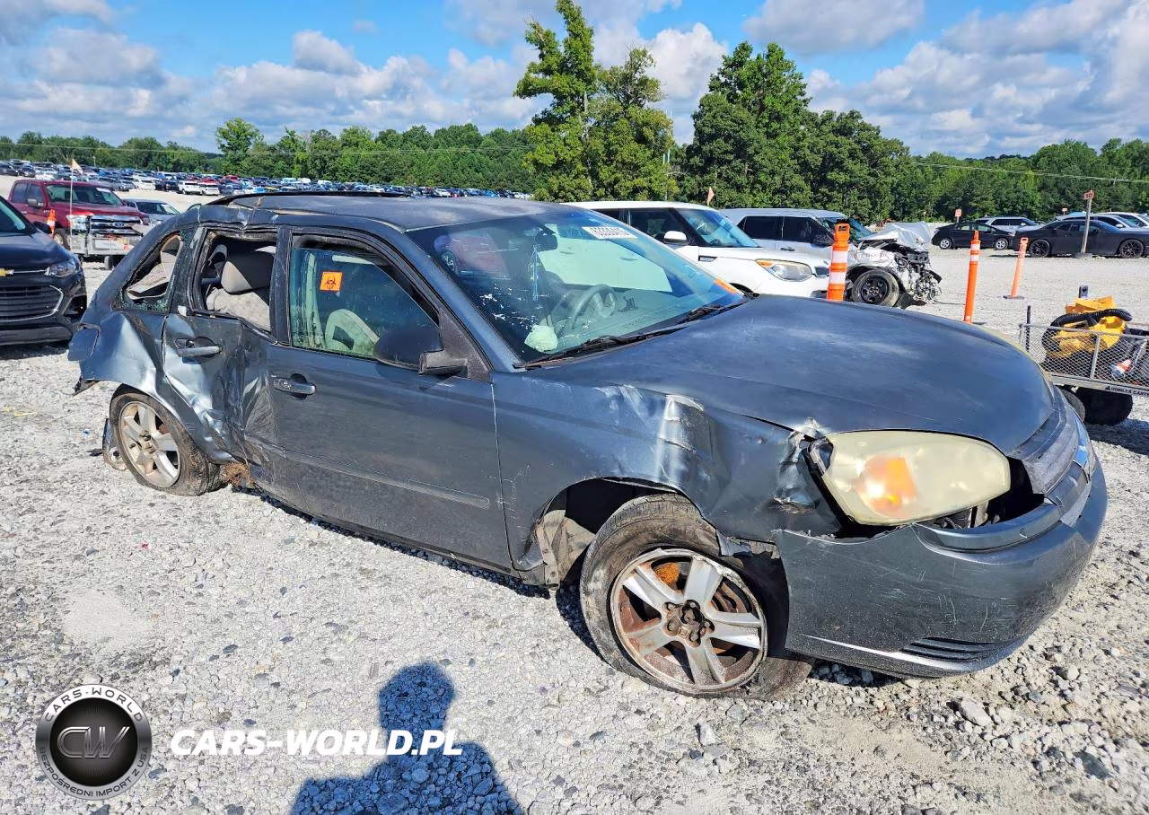 2004 Chevrolet Malibu Maxx Ls VIN:1G1ZT648X4F210053 - 4