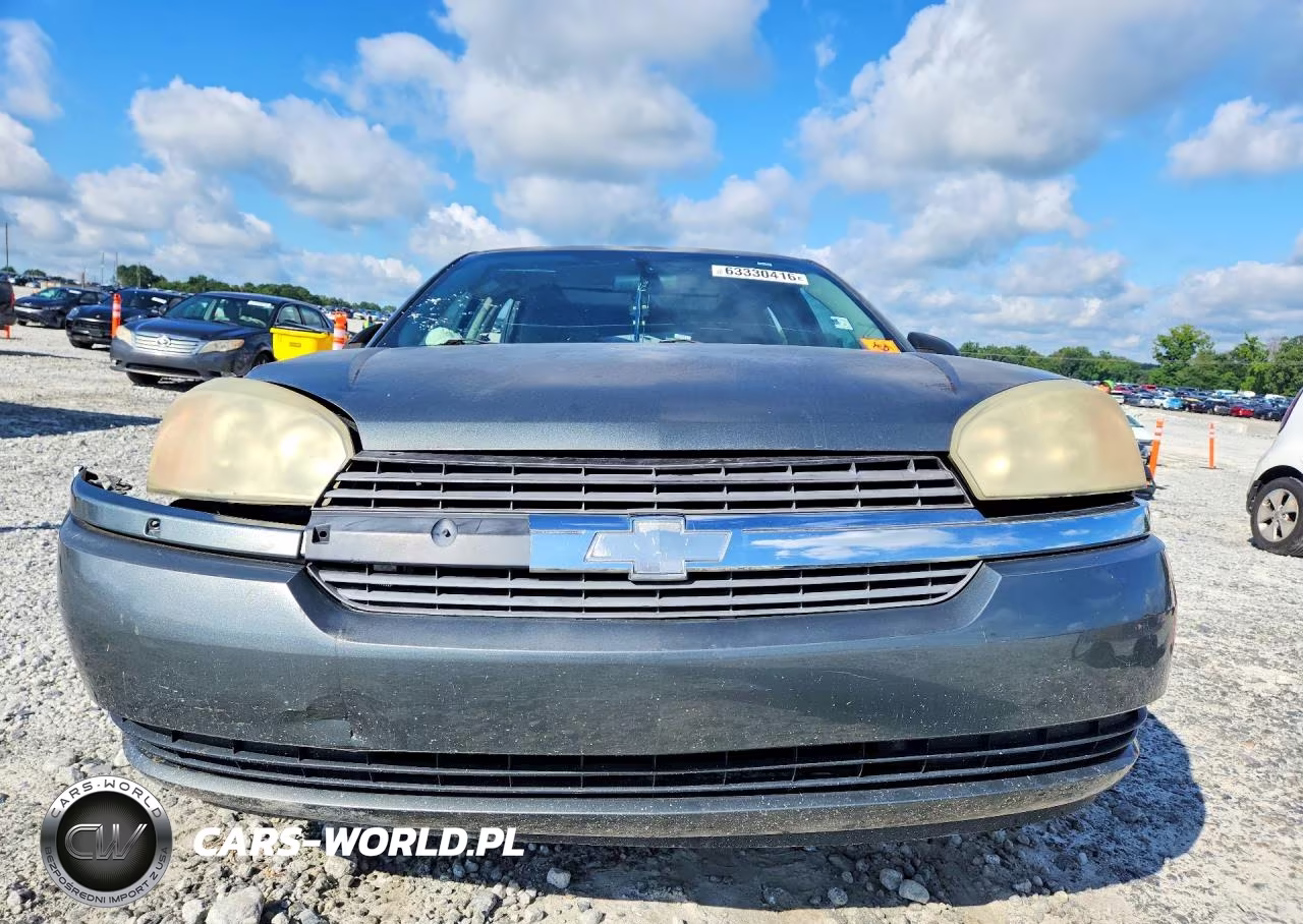 2004 Chevrolet Malibu Maxx Ls VIN:1G1ZT648X4F210053 - 5