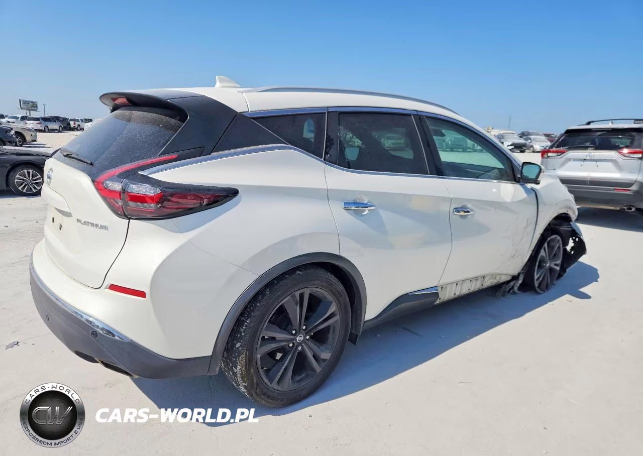 2019 Nissan Murano Platinum VIN:5N1AZ2MJXKN161448 - 3