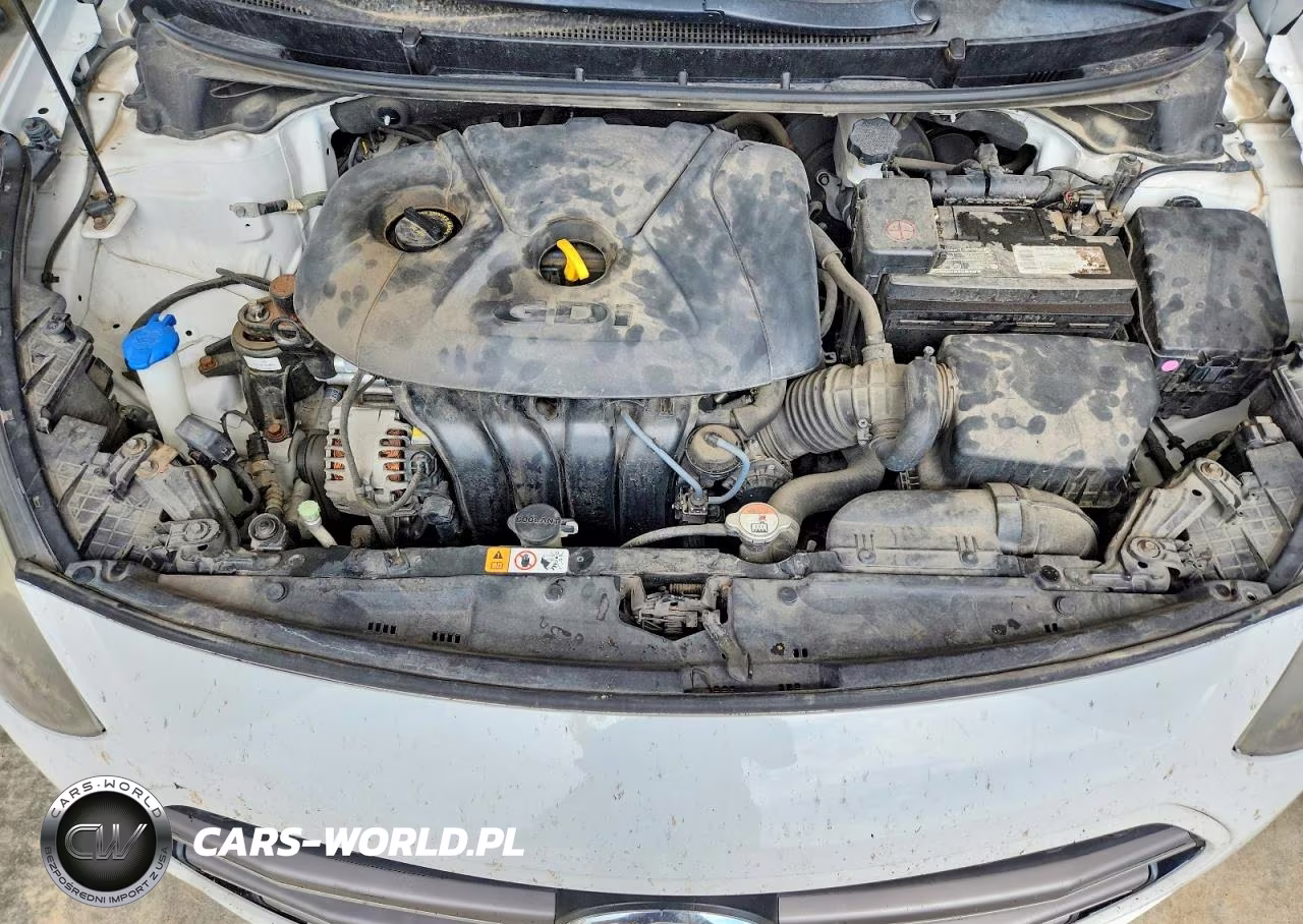 2016 Hyundai Elantra Gt Base VIN:KMHD35LH3GU334609 - 11