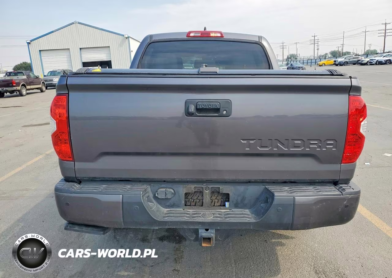 2020 Toyota Tundra Crewmax Limited VIN:5TFHY5F17LX919529 - 6